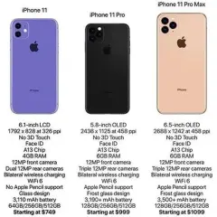 iPhone 11: 6,1 cala ekranu czy to rozmiar dla Ciebie?