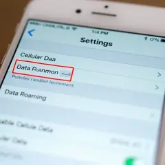 Ustawienia telefonu, gdzie widać opcję "Data Roaming" (roaming danych). Aby włączyć roaming, należy przejść do tej sekcji.