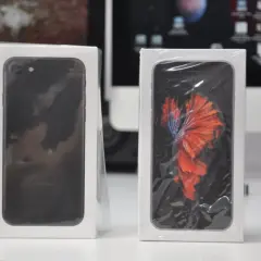 Dwa iPhone'y w pudełkach, jeden czarny, drugi z tapetą z rybką bojownikiem. Nowe telefony z systemem iOS 7.