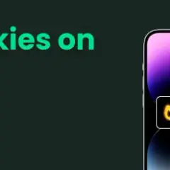 Usuń pliki cookie z iPhone'a: Prywatność i szybkość krok po kroku