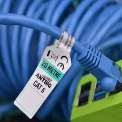 Kabel Ethernet: Prawda o prędkości, gamingu i pingu. Jaki wybrać?