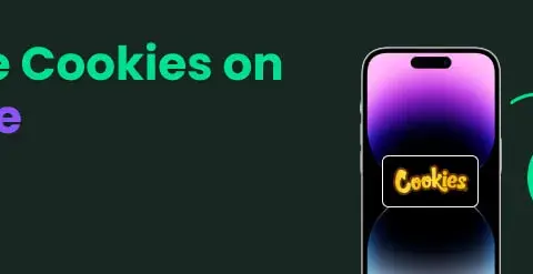 Usuń pliki cookie z iPhone'a: Prywatność i szybkość krok po kroku