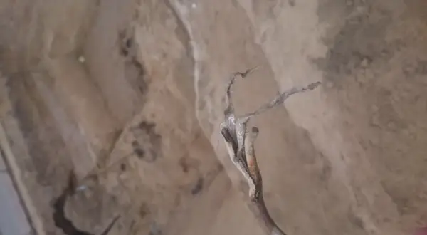 Kable w listwach? Ukryj je raz na zawsze! Poradnik Emila Michalaka