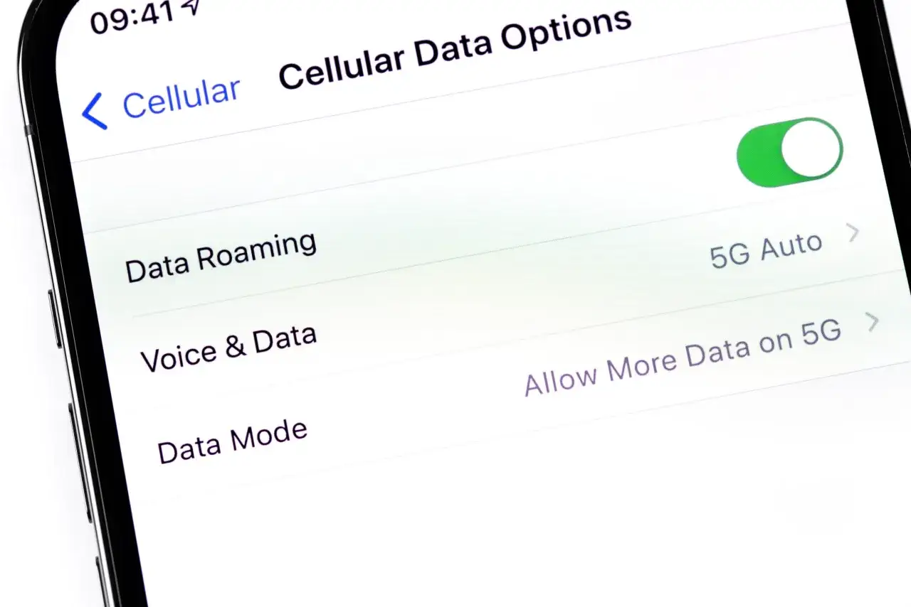 Ustawienia telefonu: jak włączyć roaming. Widoczny ekran 
