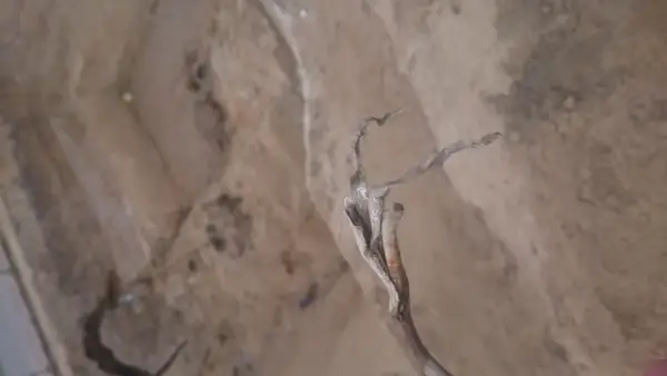 Kable w listwach? Ukryj je raz na zawsze! Poradnik Emila Michalaka